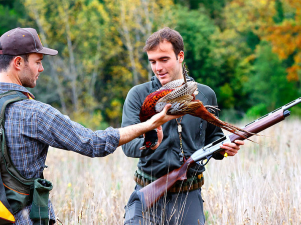 Galleria How to practice pheasant hunting