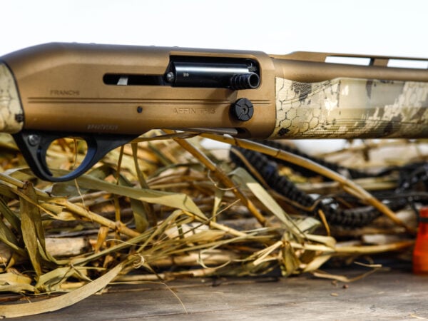 Affinity 3 Elite Bronze Gallery