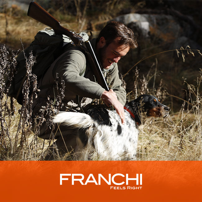 10 tips for training a hunting dog for woodcock hunting>