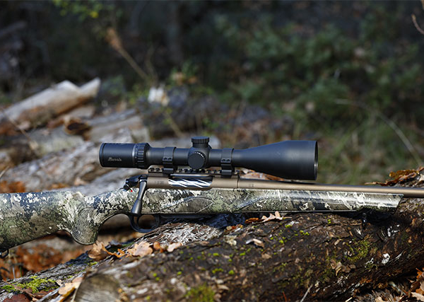 Galleria Wild boar driven hunt, stalking or hunting from high seat?