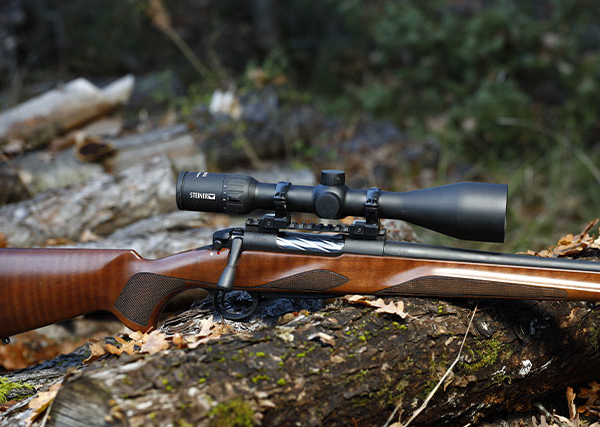 Galleria Roe deer hunting with the bolt action Horizon