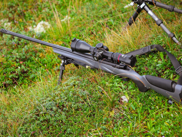 Horizon Special Hunt Gallery