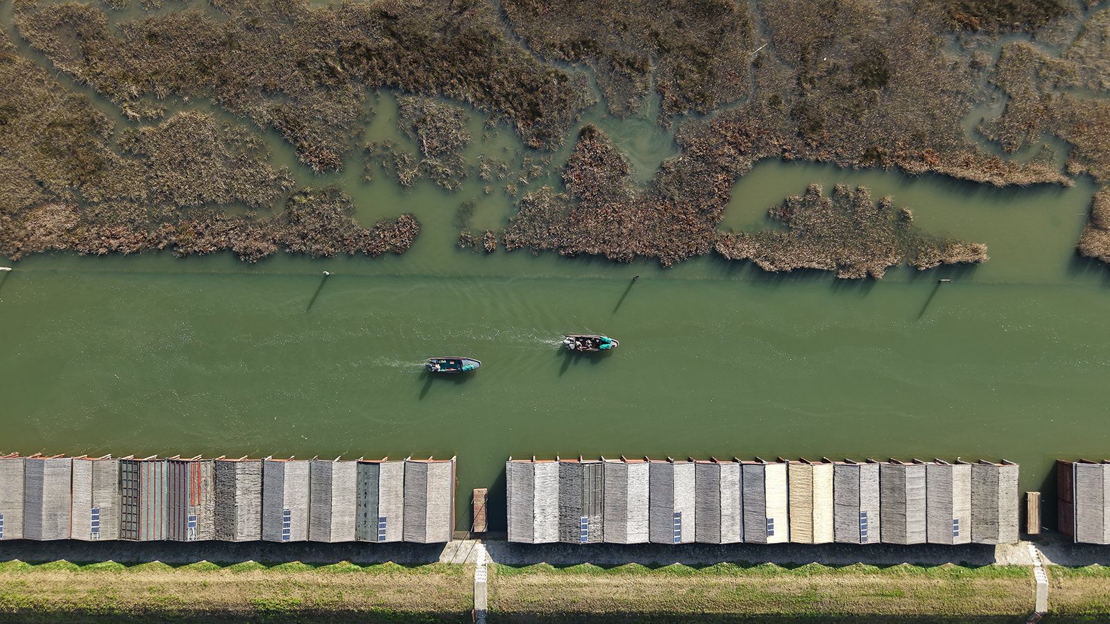 Affinity 3 X Optifade Marsh Gallery