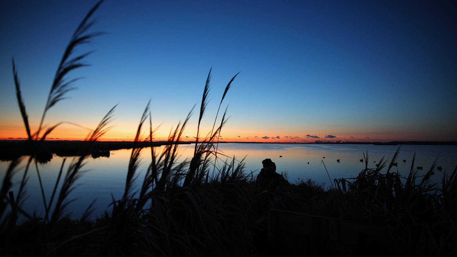 Affinity 3 X LH Black Synt Gallery