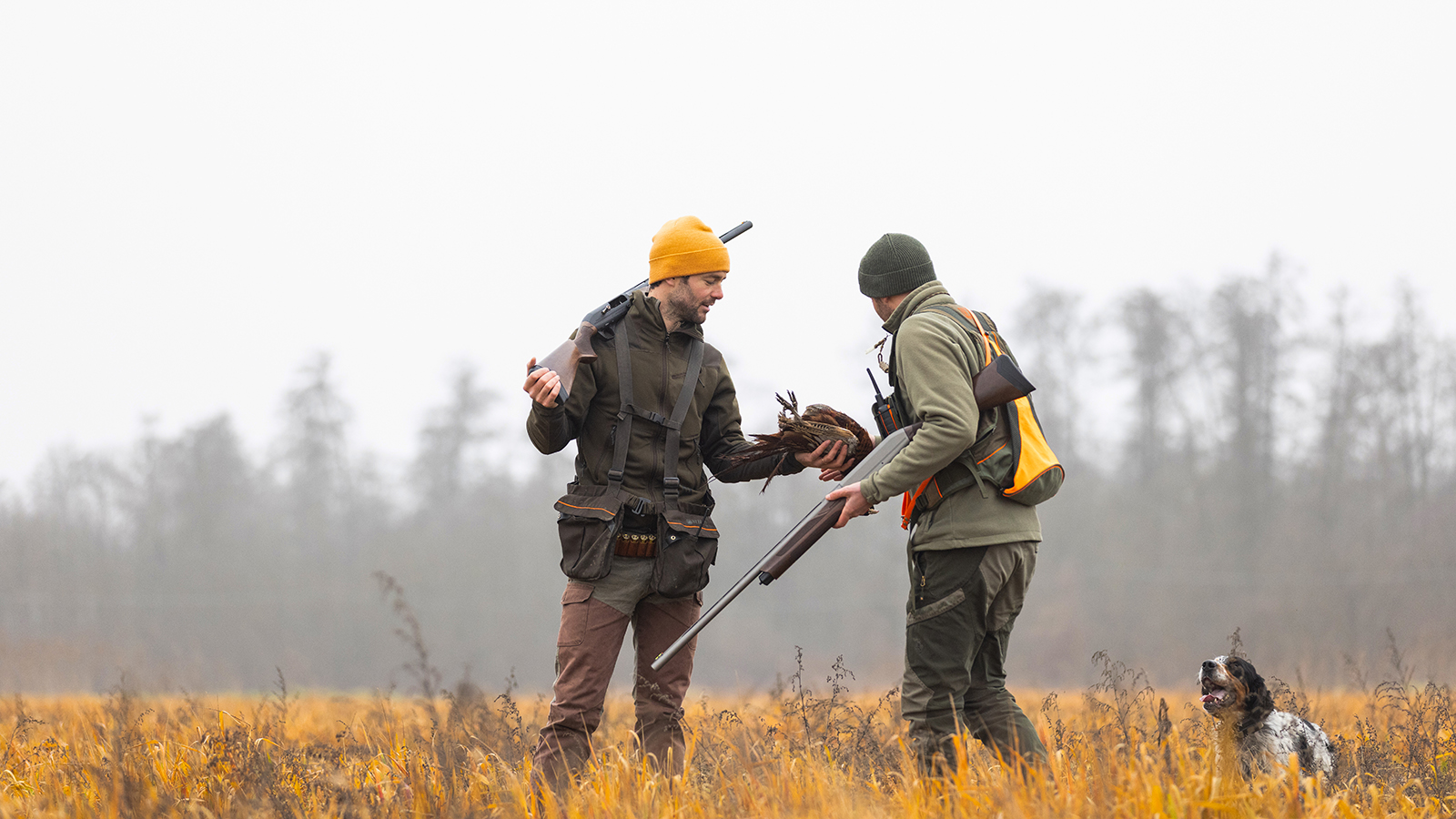 Affinity 3 X Elite Wood Gallery