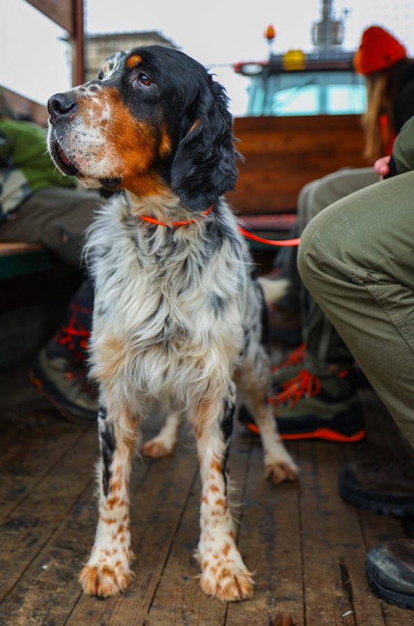 Affinity 3 X Select Gallery