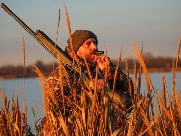 Affinity 3.5 X Black Synt Gallery