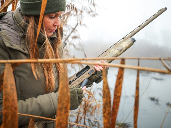 Affinity 3.5 X Elite Bronze Gallery