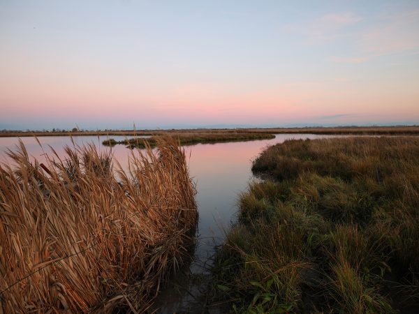 Affinity 3 X LH Black Synt Gallery