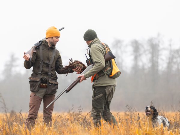 Affinity 3 X Elite Wood Gallery