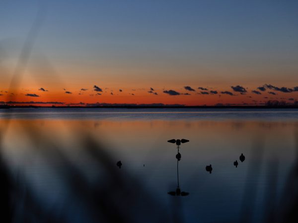 Affinity 3 X Black Synt Gallery