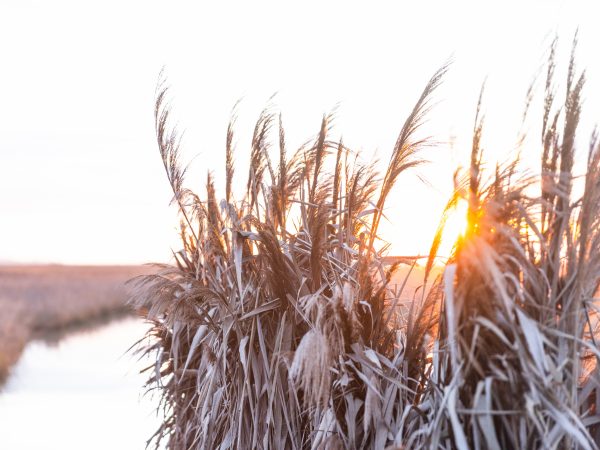 Affinity 3.5 X Max 7 Gallery