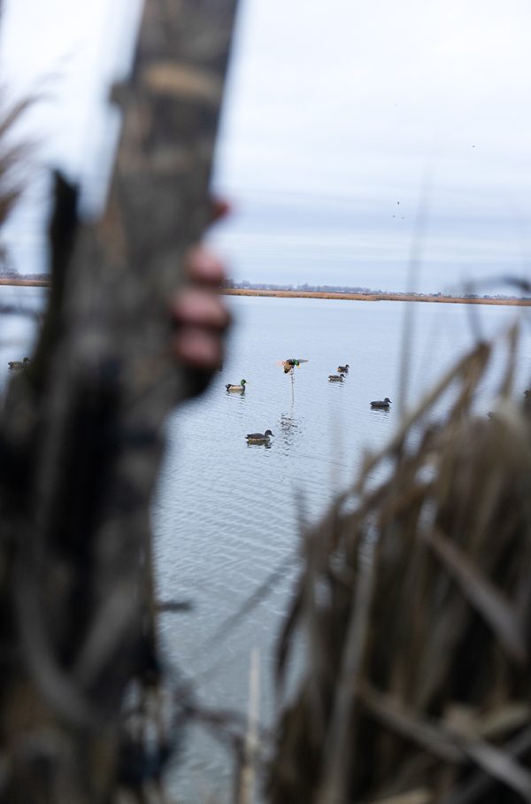 Affinity 3.5 X Optifade Marsh Gallery