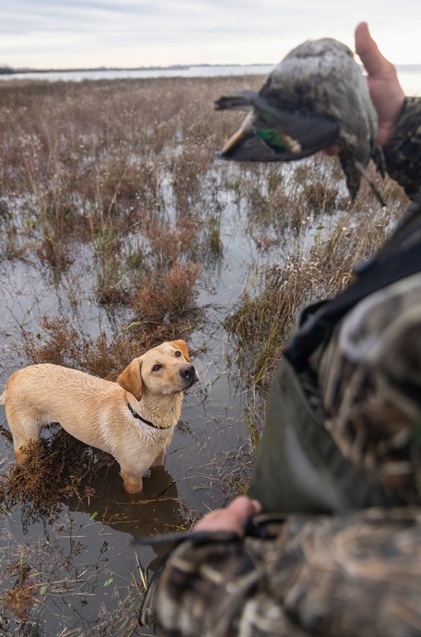 Affinity 3 X Optifade Marsh Gallery