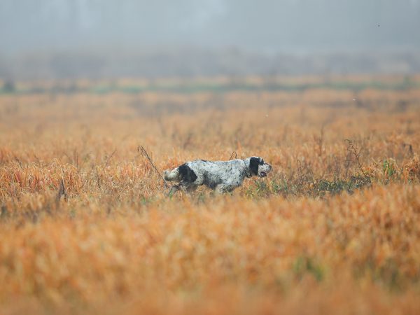 Affinity 3 X Select Gallery