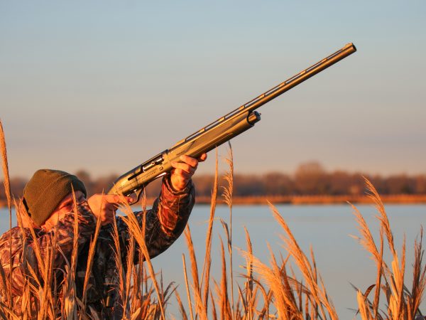 Affinity 3.5 X Black Synt Gallery