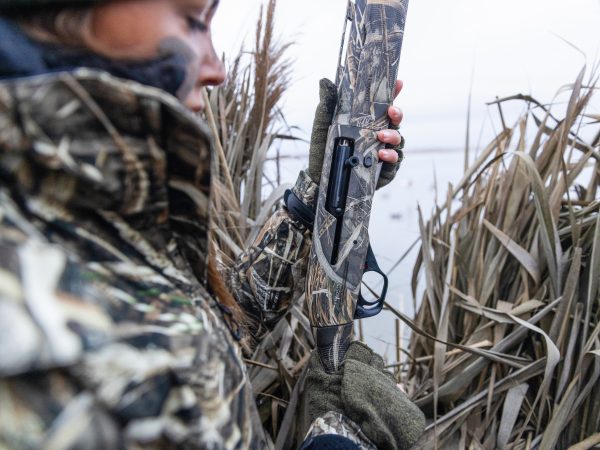 Affinity 3.5 X Max 7 Gallery