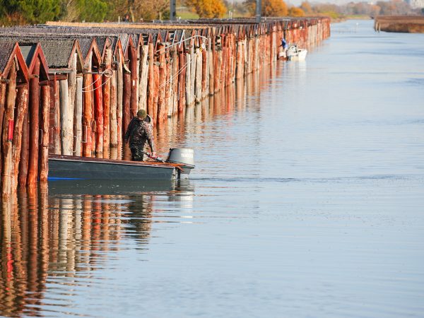 Affinity 3.5 X Optifade Marsh Gallery