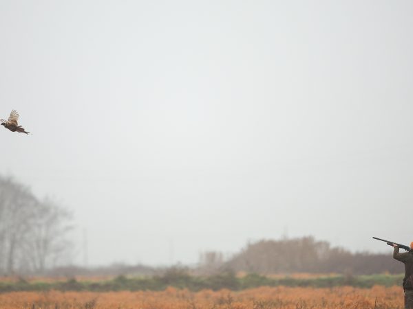 Affinity 3 X Select Gallery