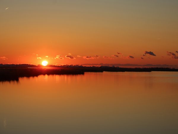 Affinity 3 X LH Black Synt Gallery