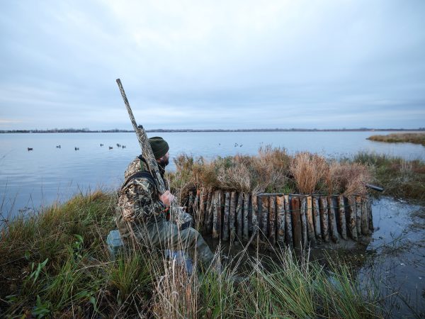 Affinity 3 X Max 7 Gallery