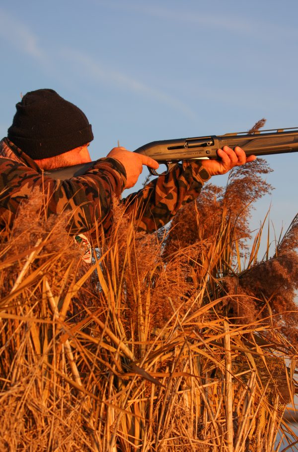 Affinity 3.5 X Black Synt Gallery