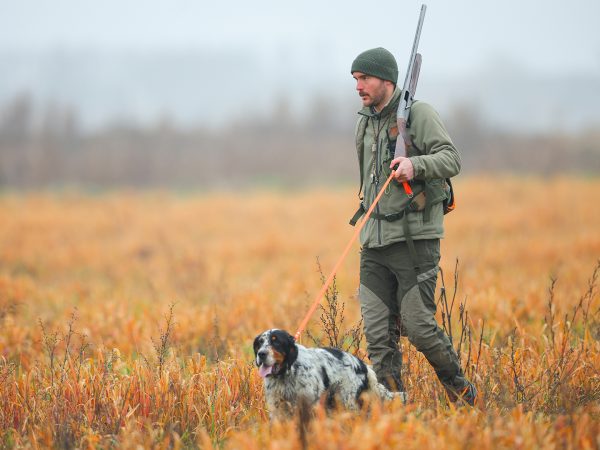 Affinity 3 X Elite Wood Gallery