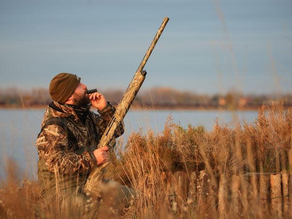 Affinity 3 X Max 7 Gallery