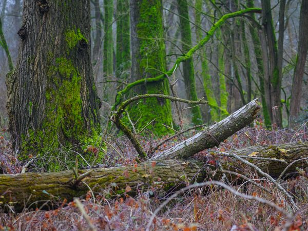 Affinity 3 X Select Gallery