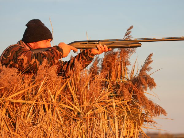 Affinity 3.5 X Black Synt Gallery