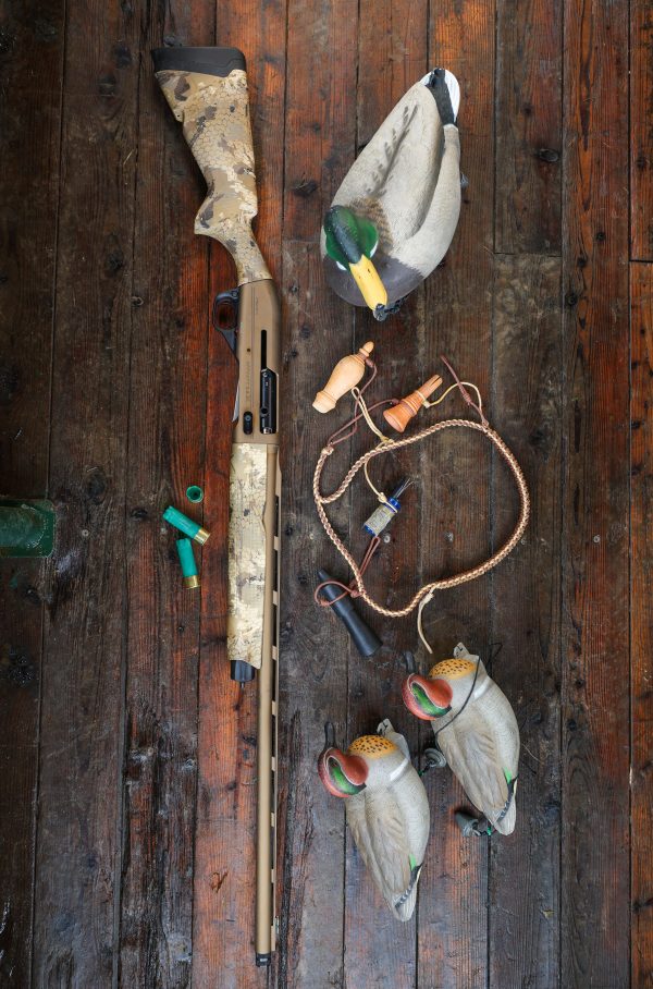 Affinity 3.5 X Elite Bronze Gallery