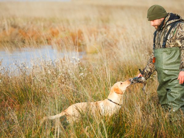 Affinity 3.5 X Optifade Marsh Gallery