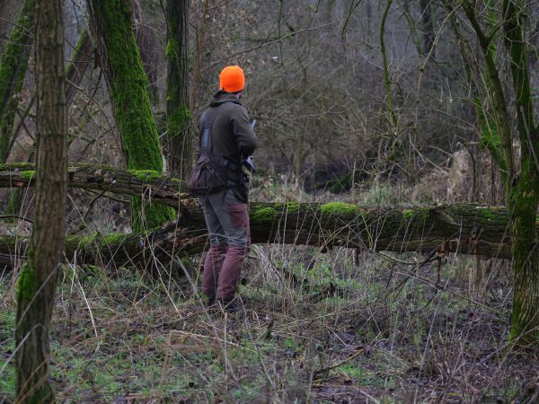 Affinity 3 X Select Gallery