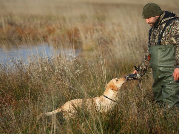 Affinity 3 X LH Black Synt Gallery