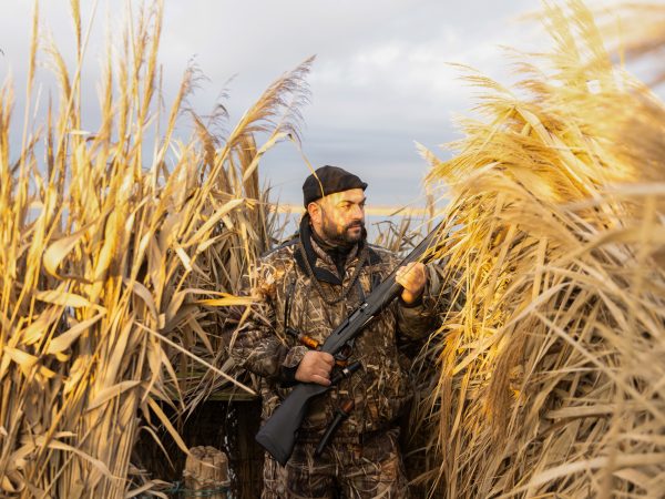 Affinity 3 X Black Synt Gallery