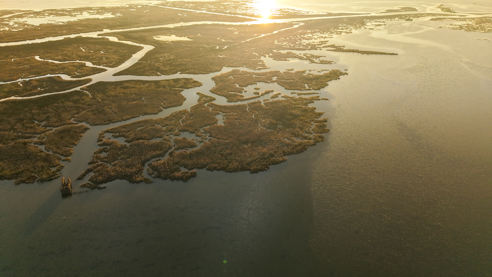 Affinity 3 X Optifade Marsh Gallery