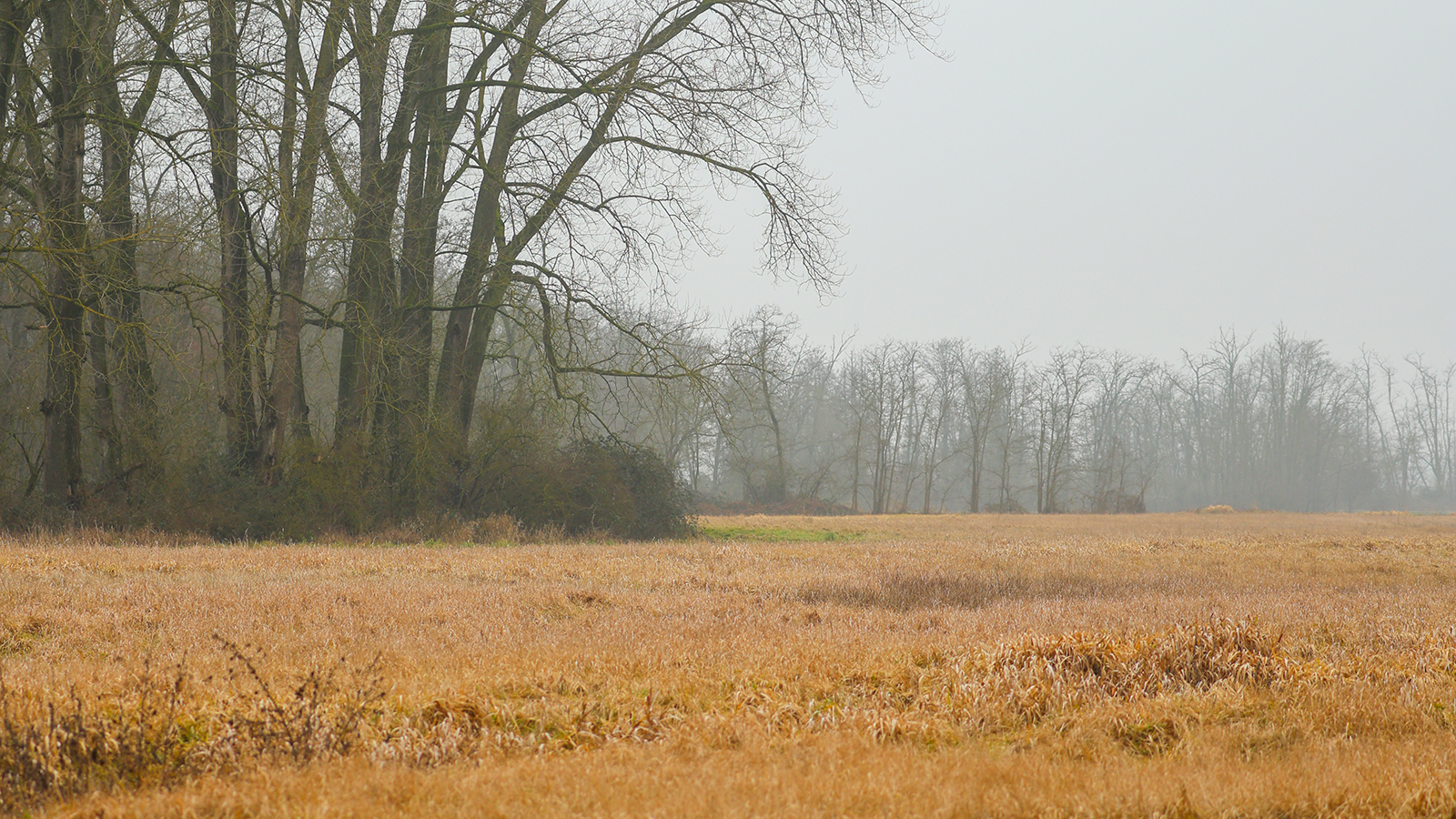 Affinity 3 X Select Gallery