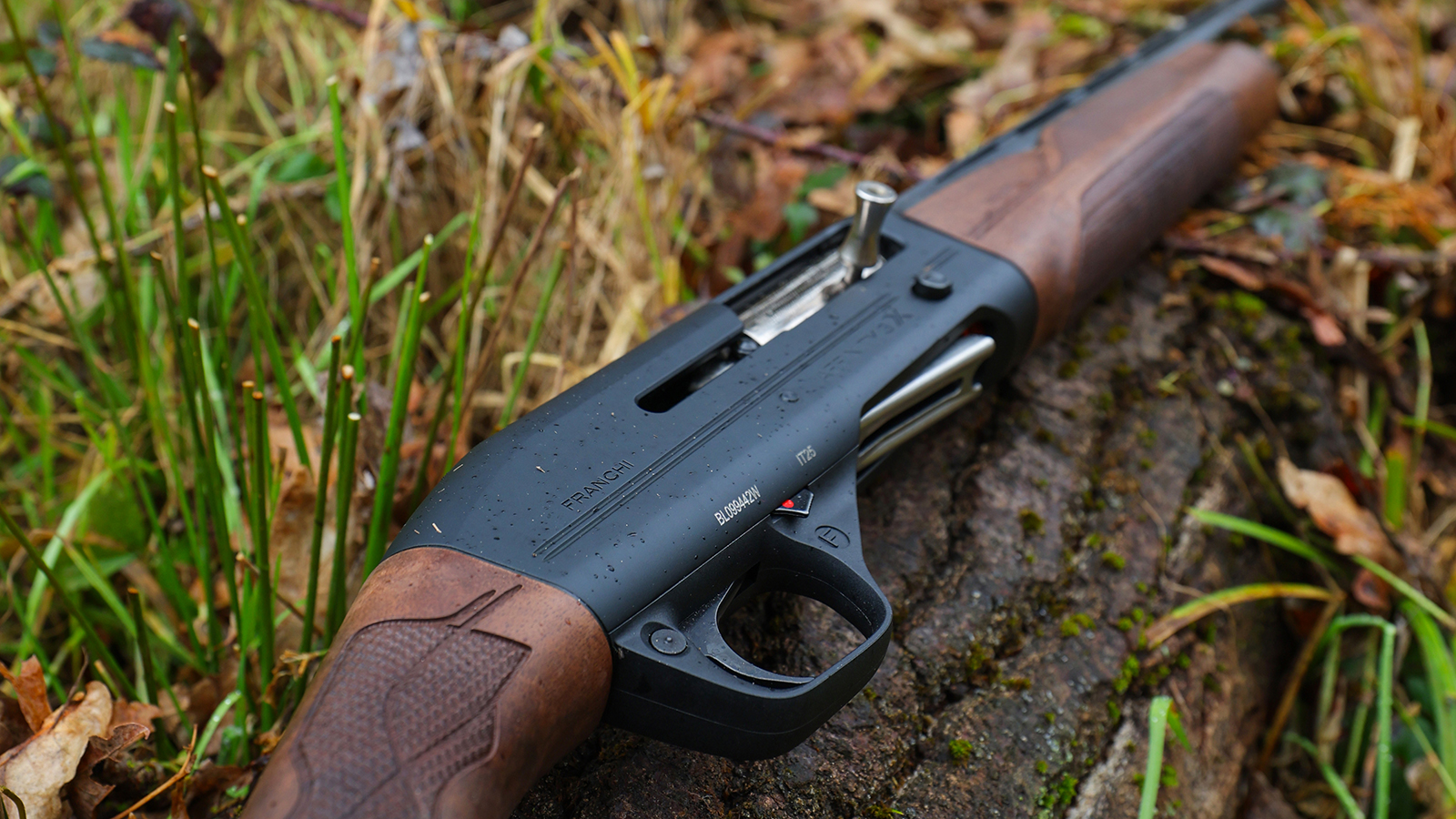 Affinity 3 X Wood Gallery