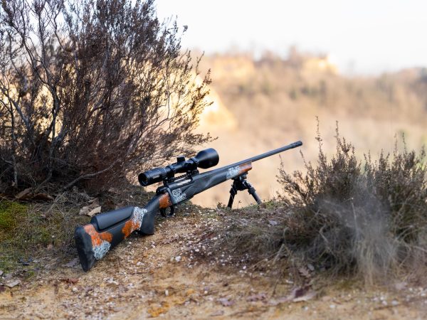 Horizon Special Hunt Elite Vibe Gallery