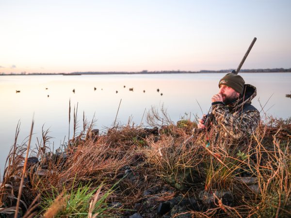 Affinity 3.5 X Bottomland Gallery