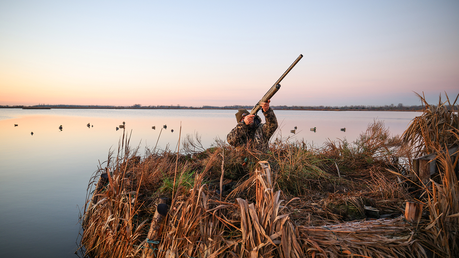 Affinity 3.5 X Bottomland Gallery