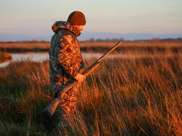 Affinity 3.5 X Bottomland Gallery