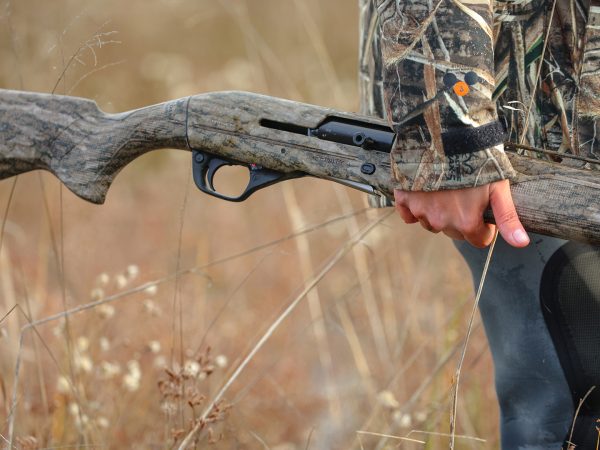 Affinity 3 X Bottomand Gallery