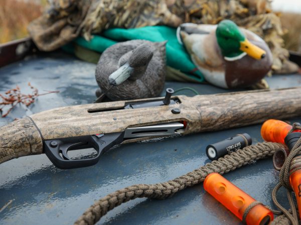 Affinity 3.5 X Bottomland Gallery