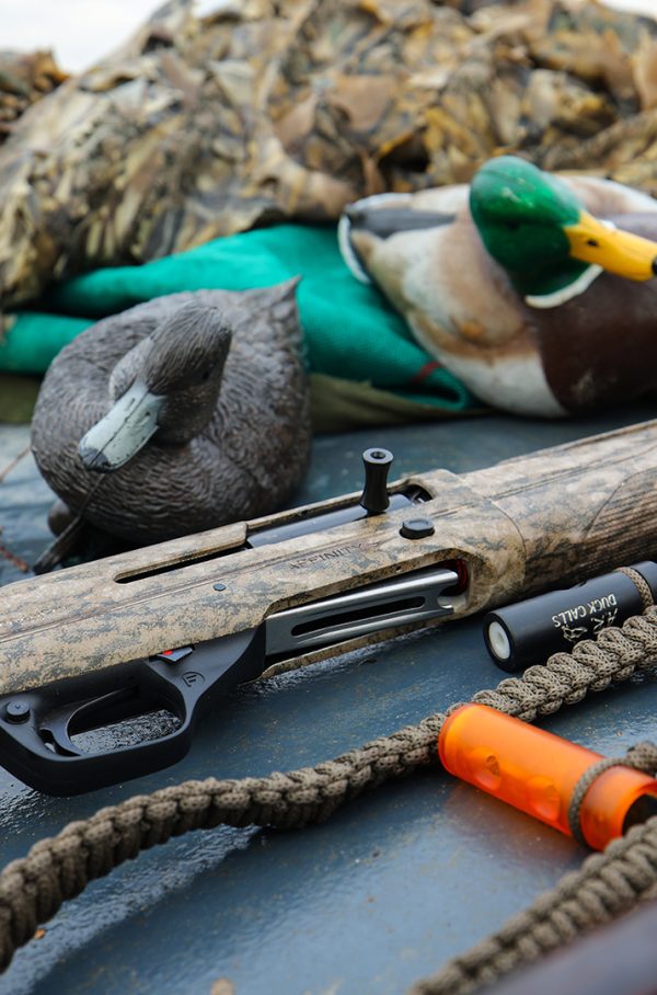 Affinity 3 X Bottomand Gallery