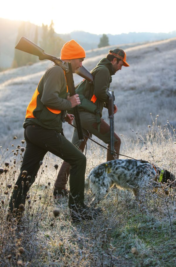 Feeling Sideplate SPLX Gallery