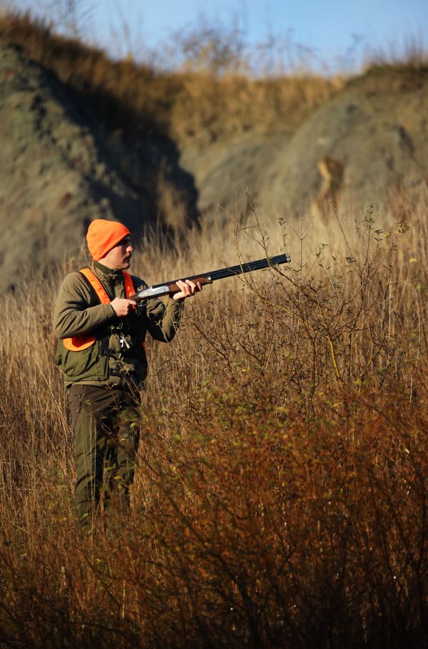 Feeling Sideplate SPLX Gallery