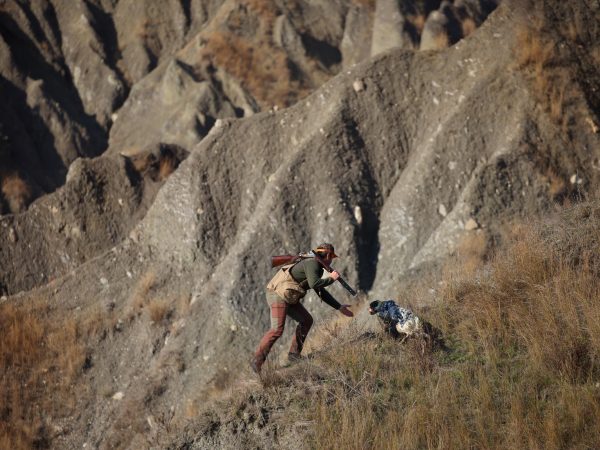 Feeling Sideplate SPLX Gallery