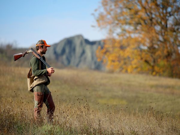 Feeling Sideplate SPLX Gallery