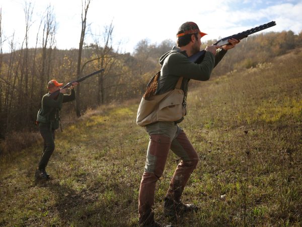 Feeling Sideplate SPLX Gallery